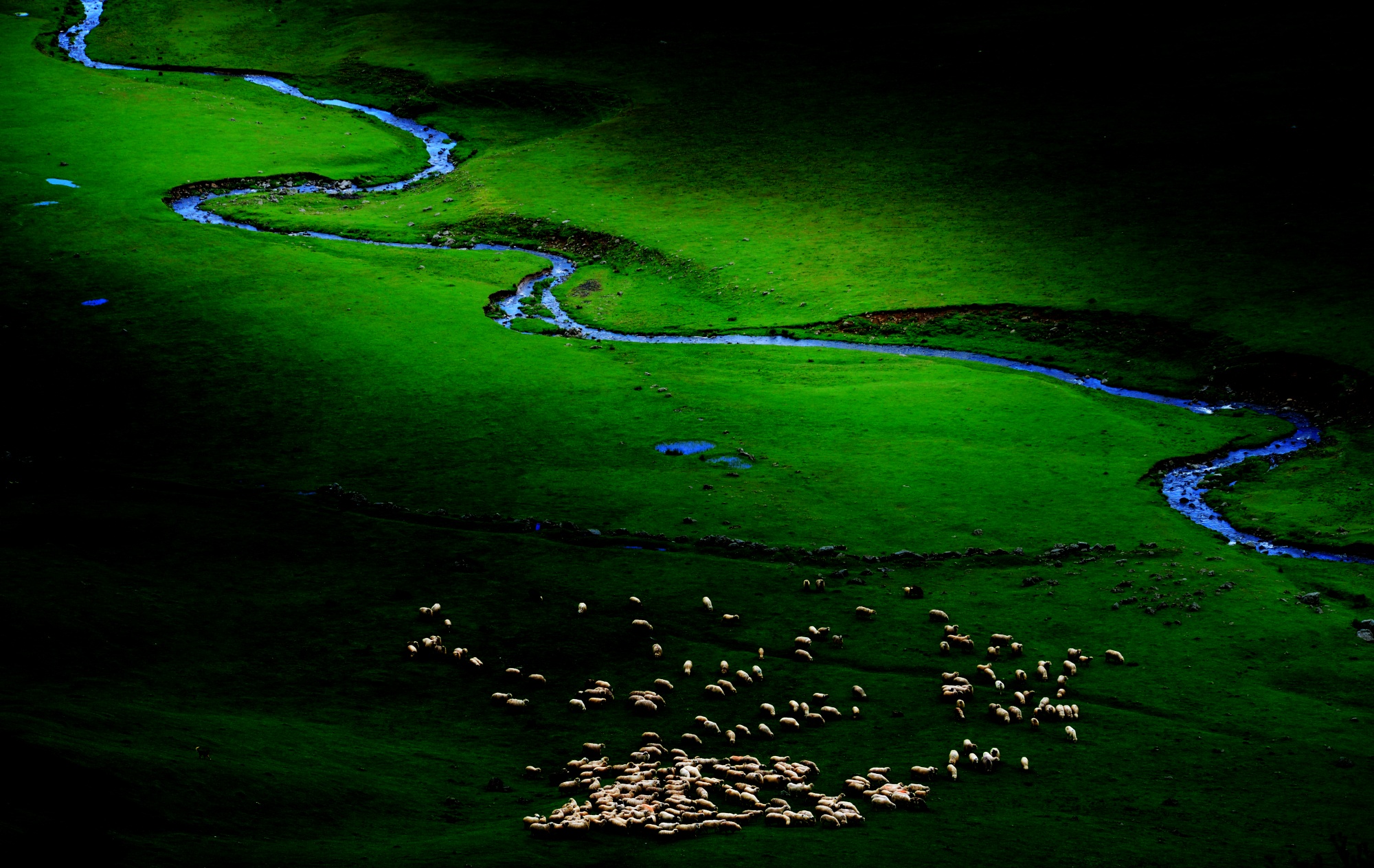 Aybastı Perşembe Yaylası